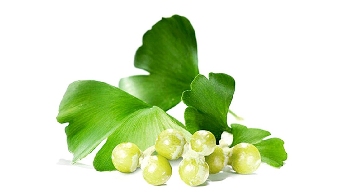 Ginkgo Bilobe OstyHealth-en